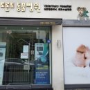 토론토 동물병원 네이버블로그