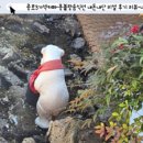 몽블랑카페 이미지