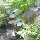 서울식물원 이미지