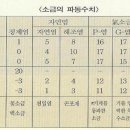 소금과빛