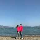 레일바이크 네이버블로그
