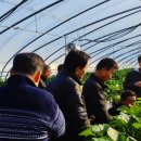 건태농장 이미지