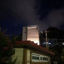 울릉푸른나무 이미지