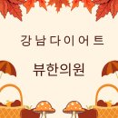 다이어트 뷰