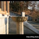 팔룡동400 이미지