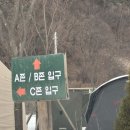 무드리 | 250107 양평 숲이야 캠핑장 폭설 후 방문 후기