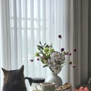산밑빵집 이미지