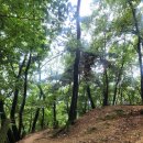 분당동 주민센터 이미지