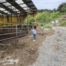 유현목장 이미지