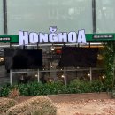 판교 H스퀘어 쌀국수 맛집 베트남 음식점 홍호아 판교점 평일 점심 내돈내산 후기