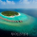 미화여행사 이미지