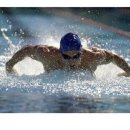 접영(Butterfly stroke) 이미지