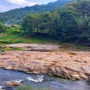 황산식당 이미지