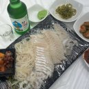 배배게스트하우스 | 주간일기) 강릉에서 헌팅한 썰 푼다