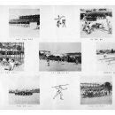 송신초등학교 이미지