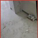 더뉴홈케어 이미지