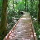 서귀포자연휴양림2 이미지