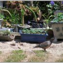 숲속나라 어린이집 이미지