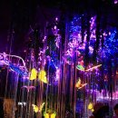 광명동굴 이미지