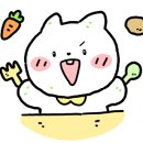 무스비브로