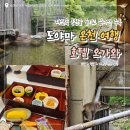 여행] 부모님 효도 여행으로 강추하는 온천 호텔 오가와 숙소 이용 후기(Part 2. 조식, 석식, 대욕탕)