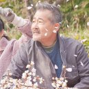 이로도리
