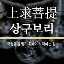 시심마 네이버블로그