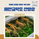 새만금약초 네이버블로그