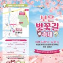 보은꽃 이미지