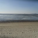 민머루해수욕장 이미지