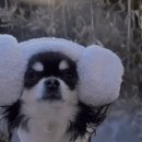 까사델뻬로 이미지