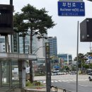 백만송이 장미공원 후기│부천 나들이