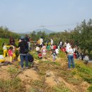 (하늘어린이집)도원어린이집 이미지