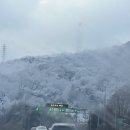 나이스호텔 | 대천 1박2일 겨울 여행 코스, 데이나이스 호텔 후기