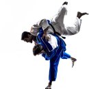 코리아 유도 체육관 이미지