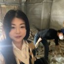 크린시티 이미지