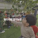 경기남부농장 | 경기도 광주 울트라팜 딸기체험 후기｜아이와 가기 좋은 용인 근교 농장 체험