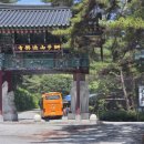 무릉도원면-5 이미지