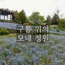 정원가든 - 경주시 양남항구길 129 | [교토 여행] 케이블카 타고 올라가는 구름 위 정원, 가든 뮤지엄 히에이 후기