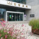 안암교회 이미지