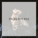 열정마켓