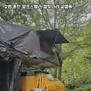 힐링독 | 강원 홍천 알프스밸리 캠핑나라 글램독, 자연 속 완벽한 힐링 캠핑 후기 🌲⛺️
