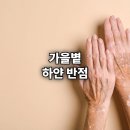 경화반점 | 가을볕 하얀 반점, 백반증 경험 후기와 관리법