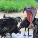 경희농장 이미지