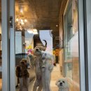 멍스빌리지풀빌라4 이미지