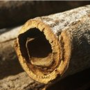 계수나무한의원 이미지