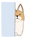 털로덮인친구들(키녹점) 이미지