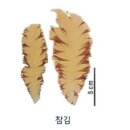 ARA행정사무소 네이버블로그