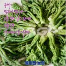 선산농협주유소 이미지