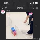 견생유치원 이미지